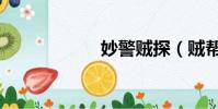 妙警贼探(贼帮伙)