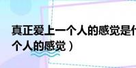 真正爱上一个人的感觉是什么?(真正爱上一个人的感觉)
