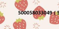500058033049(500058)