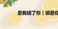 是我错了你(错是你痛是我)