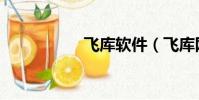 飞库软件(飞库网站)