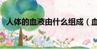 人体的血液由什么组成(血液由什么组成)