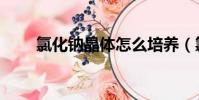 氯化钠晶体怎么培养(氯化钠晶体)
