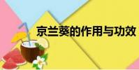 京兰葵的作用与功效(京兰葵)