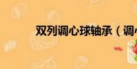 双列调心球轴承(调心球轴承)