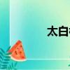 太白楼诗句李白（太白楼）