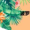 波罗密什么意思（波罗密）