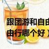 跟团游和自由行哪个好英语作文（跟团游和自由行哪个好）