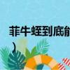 菲牛蛭到底能不能治病（菲牛蛭的功效与作用）
