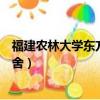 福建农林大学东方学院百度百科（福建农林大学东方学院宿舍）