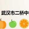 武汉市二桥中学老师名单（武汉市二桥中学）