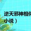 逆天邪神相似的小说推荐（与逆天邪神相似的小说）