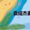 袁成杰妻子陈芊芊（袁成杰妻子）