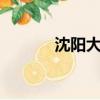 沈阳大悦城E馆（沈阳大悦城）