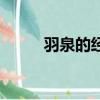 羽泉的经典歌曲（冷酷到底歌词）