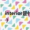 interior是什么意思中文（interior什么意思）