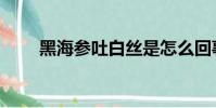 黑海参吐白丝是怎么回事(黑海参)