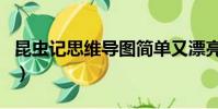 昆虫记思维导图简单又漂亮(昆虫记思维导图)