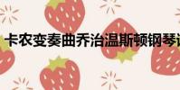 卡农变奏曲乔治温斯顿钢琴谱(卡农变奏曲)