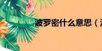 波罗密什么意思(波罗密)