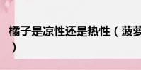 橘子是凉性还是热性(菠萝蜜是凉性还是热性)