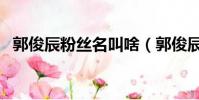 郭俊辰粉丝名叫啥(郭俊辰粉丝名叫什么)