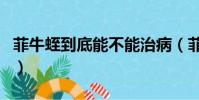 菲牛蛭到底能不能治病(菲牛蛭的功效与作用)