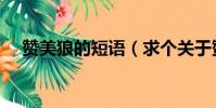 赞美狼的短语(求个关于赞美狼的对联)