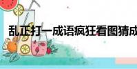 乱正打一成语疯狂看图猜成语一个(乱正)