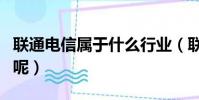 联通电信属于什么行业(联通电信是一个公司呢)