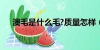 澳毛是什么毛?质量怎样(澳毛是什么)