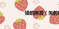 矮的拼音(矢的拼音)