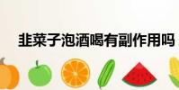 韭菜子泡酒喝有副作用吗(韭菜子泡酒)