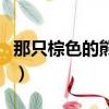 那只棕色的熊叫什么（那只棕色很火的熊叫啥）