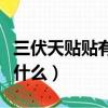 三伏天贴贴有什么好处（三伏天贴了后要注意什么）