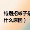 特别招蚊子是什么原因引起的（特别招蚊子是什么原因）