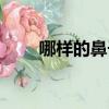 哪样的鼻子好看（什么鼻子最好看）
