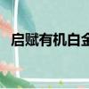 启赋有机白金版和普通版区别（启赋有机）