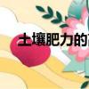土壤肥力的高低主要取决于（土壤肥力）