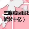 三胞胎回国找总裁爹地转走亿万（三胞胎偷走爹爹十亿）