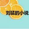 刘猛的小说为什么不能看（刘猛的小说）