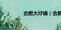 合肥大圩镇(合肥大圩)