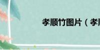 孝顺竹图片(孝顺竹)