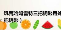 饥荒哈姆雷特三把钥匙用处(饥荒哈姆雷特三把钥匙)