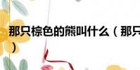 那只棕色的熊叫什么(那只棕色很火的熊叫啥)