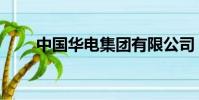 中国华电集团有限公司(中国华电)