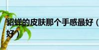 貂蝉的皮肤那个手感最好(貂蝉皮肤哪个手感好)