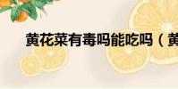 黄花菜有毒吗能吃吗(黄花菜有毒吗)