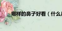 哪样的鼻子好看(什么鼻子最好看)
