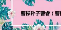 曹操孙子曹睿(曹操孙子)